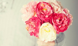 30年婚姻纪念日祝福语 30年婚姻纪念日祝福语的4种示例