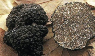 松露泡酒的做法 清香甘醇美味可口