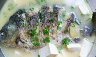 鲤鱼鲜汤做法 汤色浓白味道鲜美