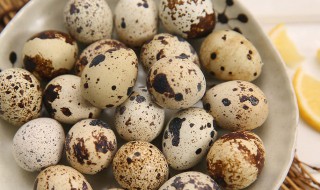 煮鹌鹑蛋这样做好吃 怎样煮五香鹌鹑蛋