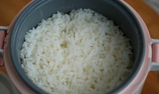 蒸子饭的做法 蒸子饭怎么做