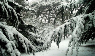 天津2019暖气供暖时间 正式公告出来了