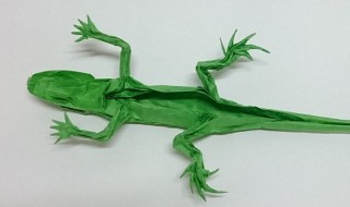 蜥蜴怎么折纸 折纸折叠蜥蜴教程详解