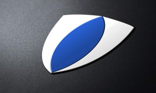 盾牌代表什么生肖 猜一猜是什么呢