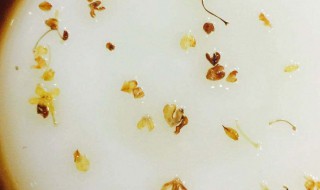 桂花三不沾做法 一道好吃的桂花佳肴