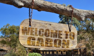 加蓬有多少华人 在非洲加蓬共和国有多少华人工作