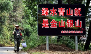 县级林业局属于什么单位 县级林业局的性质