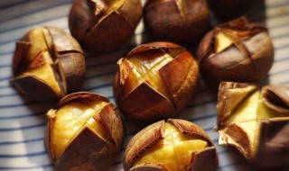 板栗皮壳如何做兰花植料 大家可以看一看