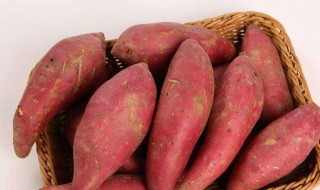 红薯吃了会长胖吗 看看红薯功效吧
