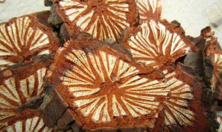 大血藤泡酒配方 附带做法