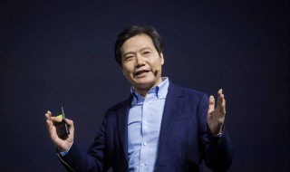 雷军有什么背景 看看背景条件吧