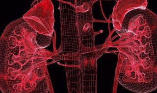 肾虚脾虚有哪些症状吃什么药 肾虚脾虚的症状以及吃药详解