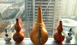 葫芦压窗台怎么摆呢 你知道了吗