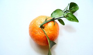 蜜桔的功效与作用 你知道吗