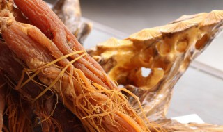 红参的禁忌 禁忌需知