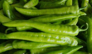 菜椒的功效与作用 它的好处多多