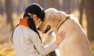 为什么狗可以和人交流 用什么交流