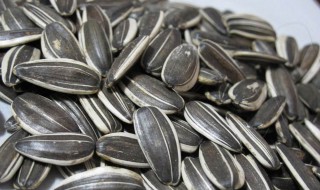 瓜子的营养价值及功效 含什么物质