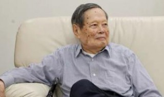 杨振宁物理界排名 这个排名谁都应该不会意外