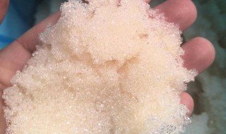 蛋白棉对鱼的危害大吗 蛋白棉会伤鱼吗