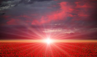 景色的小短句 怎么写出景色的美丽