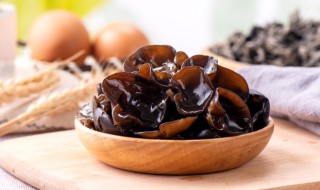 炒木耳要炒多久 木耳要炒多久能熟