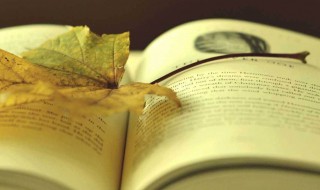 书湖阴先生壁古诗的意思 书湖阴先生壁古诗的意思简述