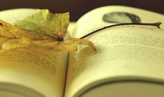 村夜古诗的意思 村夜古诗的意思简述