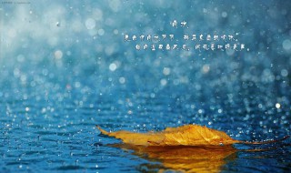 期待我们再相聚的句子 期待我们再相聚的句子有哪些