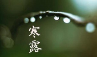 寒露节气的句子 寒露节气的句子有哪些