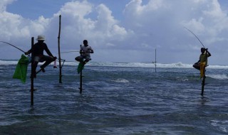 用黄粉虫钓鱼技巧 如何用黄粉虫钓鱼