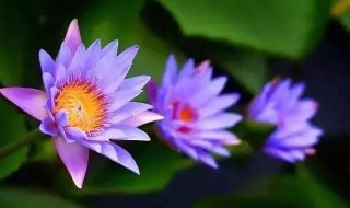 寒衣节的句子 寒衣节的句子有哪些