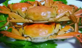 怎么选螃蟹 选螃蟹方法