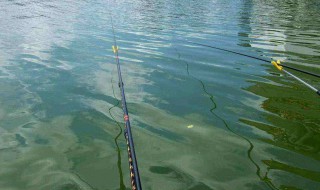 冬季钓鱼怎么选钓点 冬天选钓点技巧