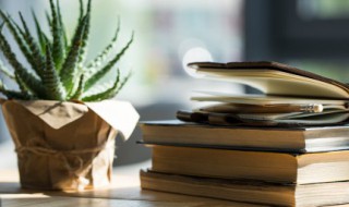 夏天的四字词语 关于夏天的四字词语有哪些