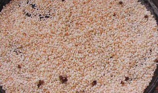 梦见大米是什么意思 看完那就明白了