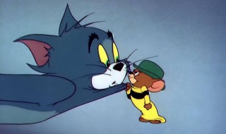 汤姆是什么品种的猫 有什么特征呢