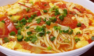 怎样做牛腩西红柿面 牛腩西红柿面做法