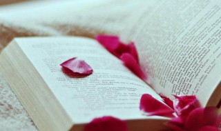 不悲不喜的经典语录 关于不悲不喜的说说