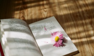 天若有情天亦老人间正道是沧桑的意思 天若有情天亦老人间正道是沧桑的意思简述