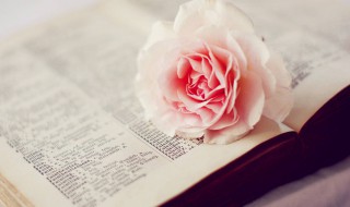 自我反省的经典语录 表达自我反省的说说