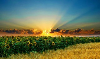 什么七什么八的成语 什么七什么八的成语有哪些