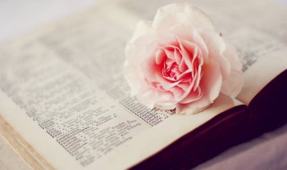 十全十美的句子 关于十全十美的句子