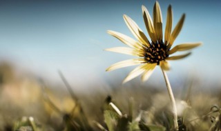 每日早安心语正能量 有什么每日早安心语正能量句子