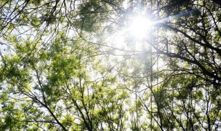 复古文艺小清新句子 复古文艺小清新句子推荐