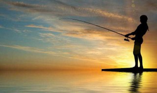 垂钓三线鱼方法 垂钓三线鱼方法是什么