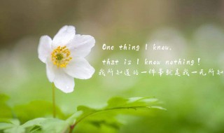 描写早晨的优美句子有哪些 形容早晨的优美句子精选