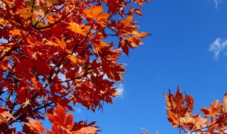 秋高气爽的句子 秋天的句子