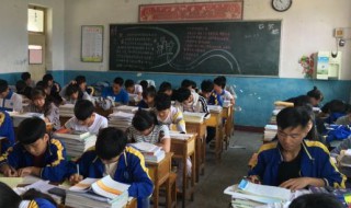 树高千丈落叶归根的根是什么意思 故乡的含义