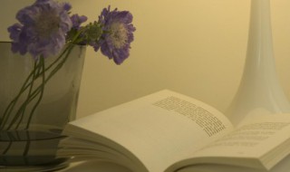 触动心灵的文案 写给人生的触动人心的文案